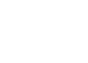 RIMA_logo_branco-300x215